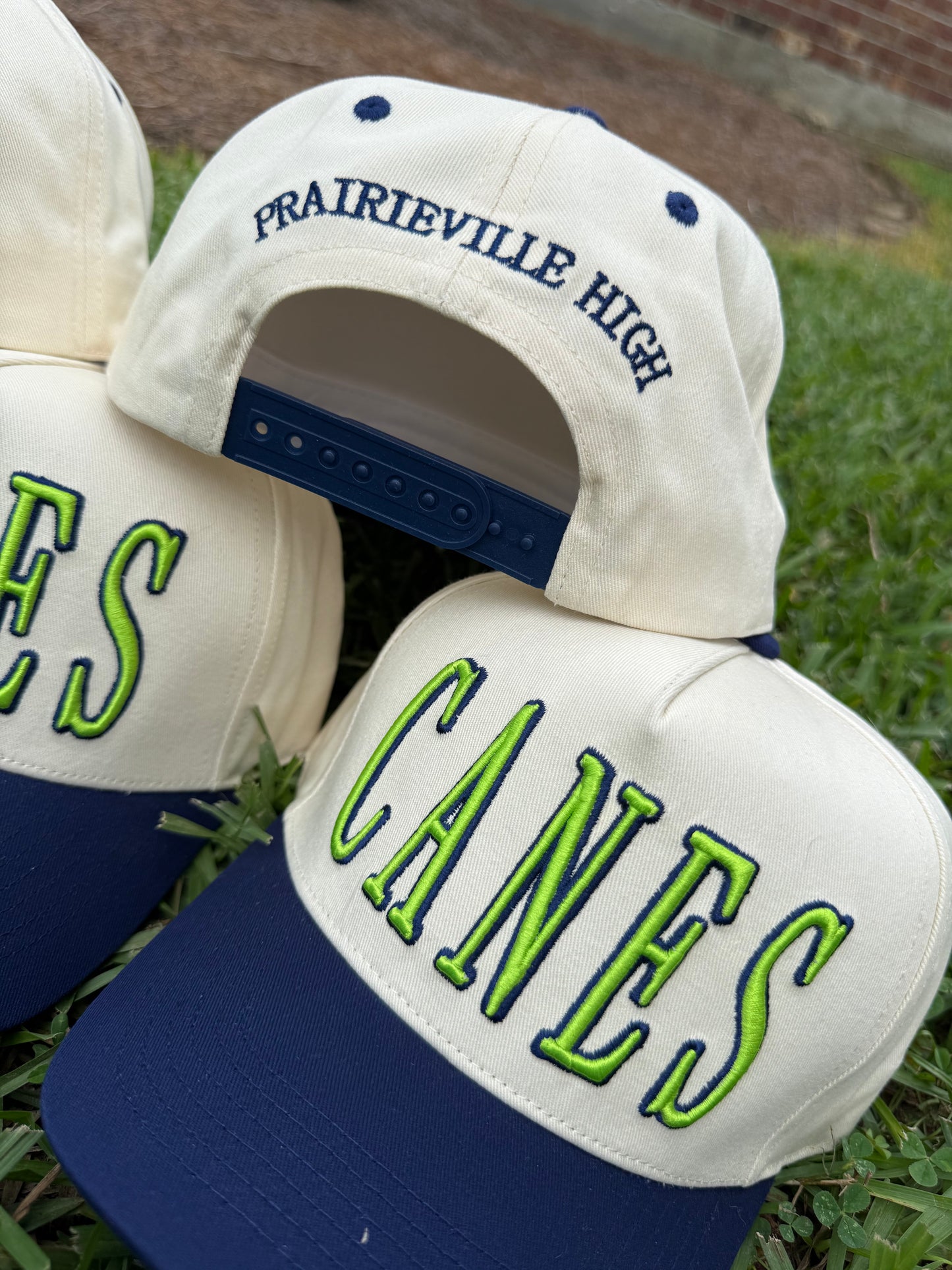 CANES-PVHS