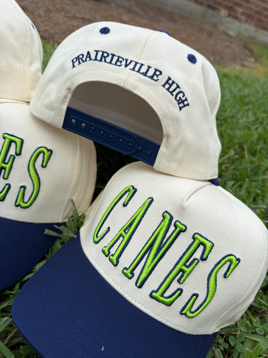 CANES-PVHS