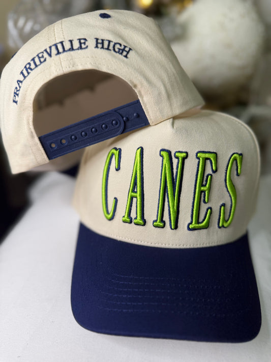CANES-PVHS