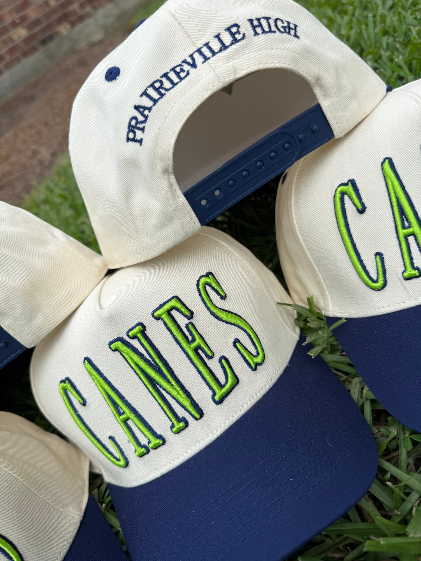 CANES-PVHS