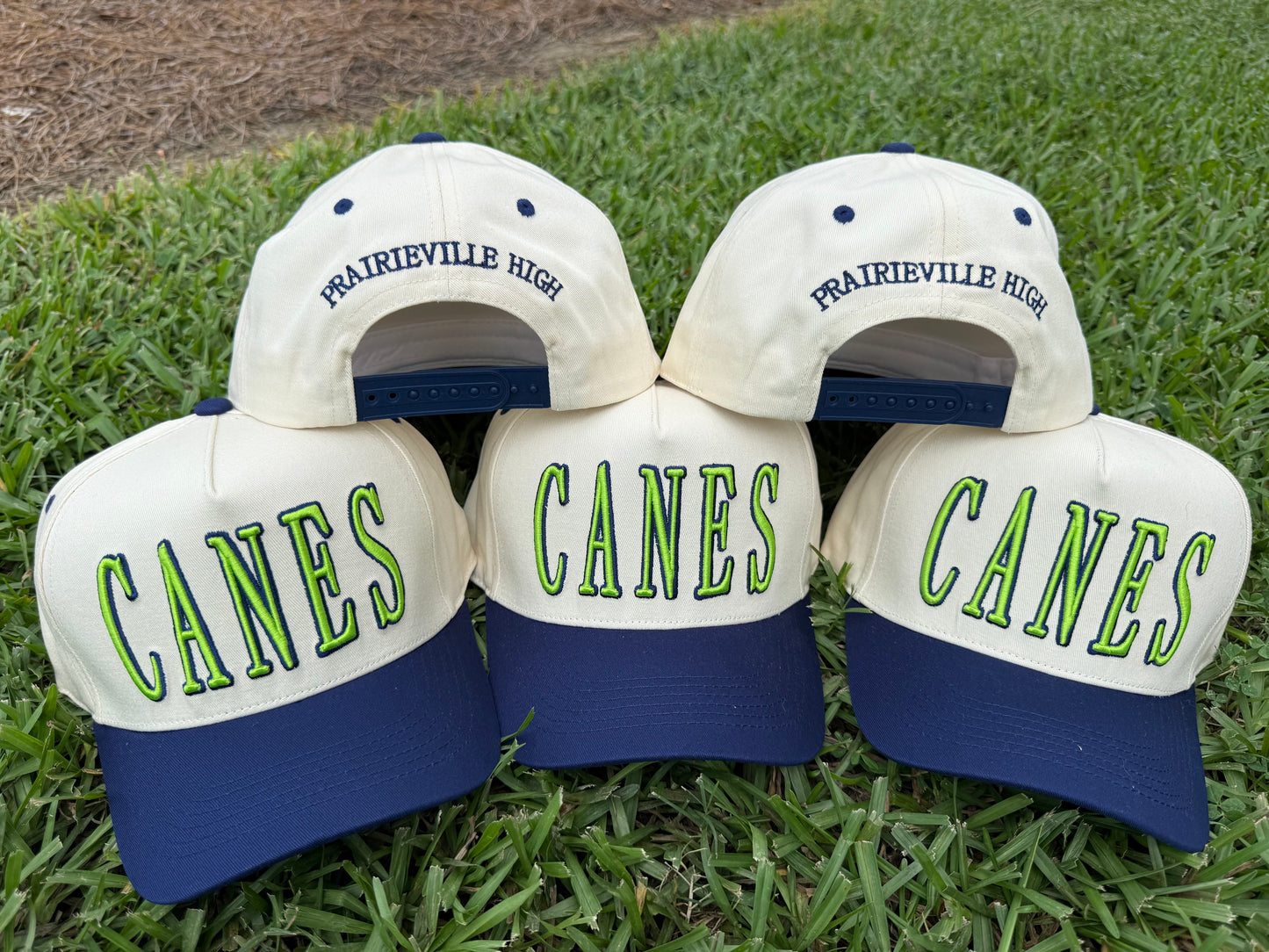 CANES-PVHS