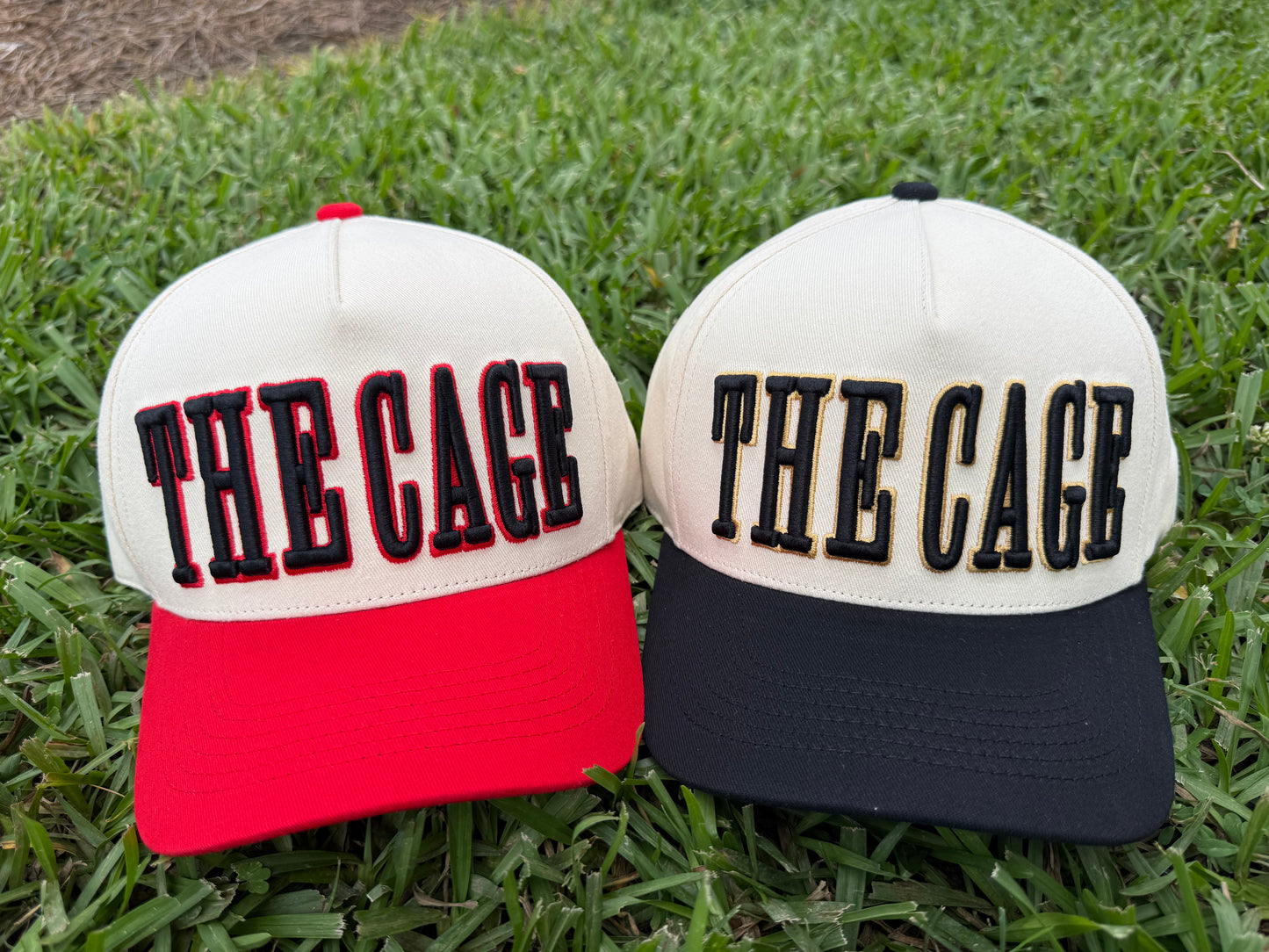 The Cage #2