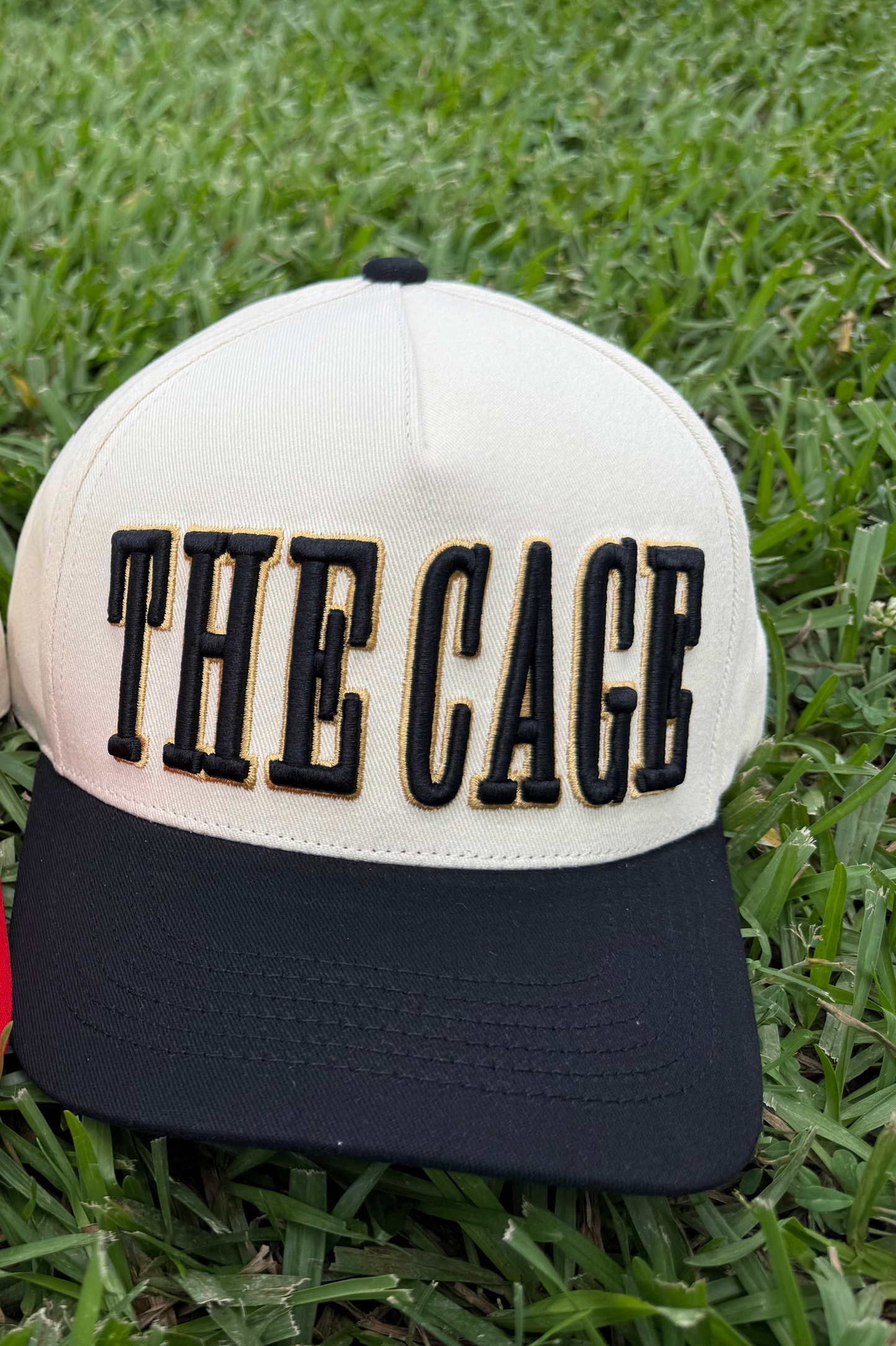 The Cage #2