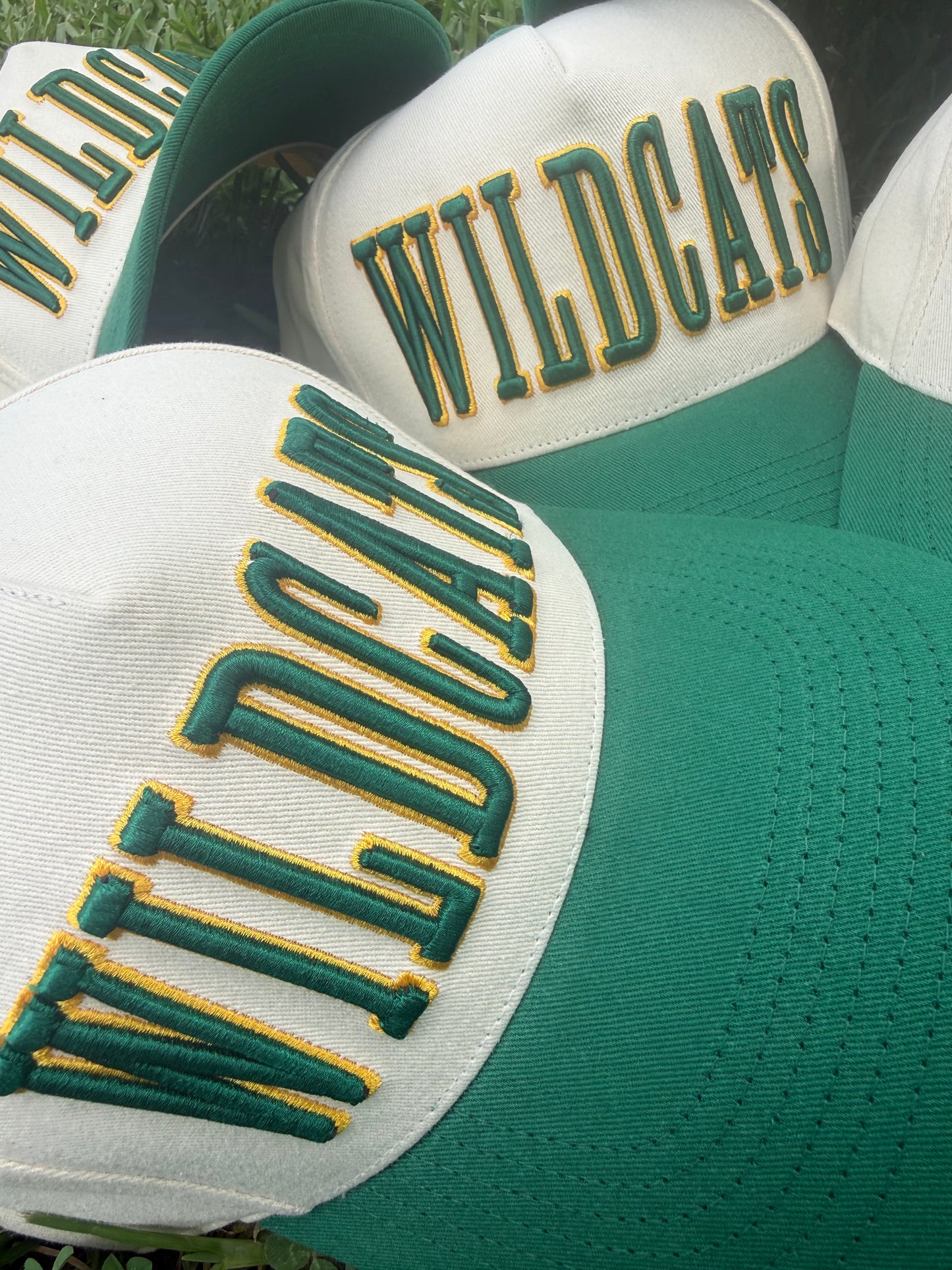 Silliman Wildcats