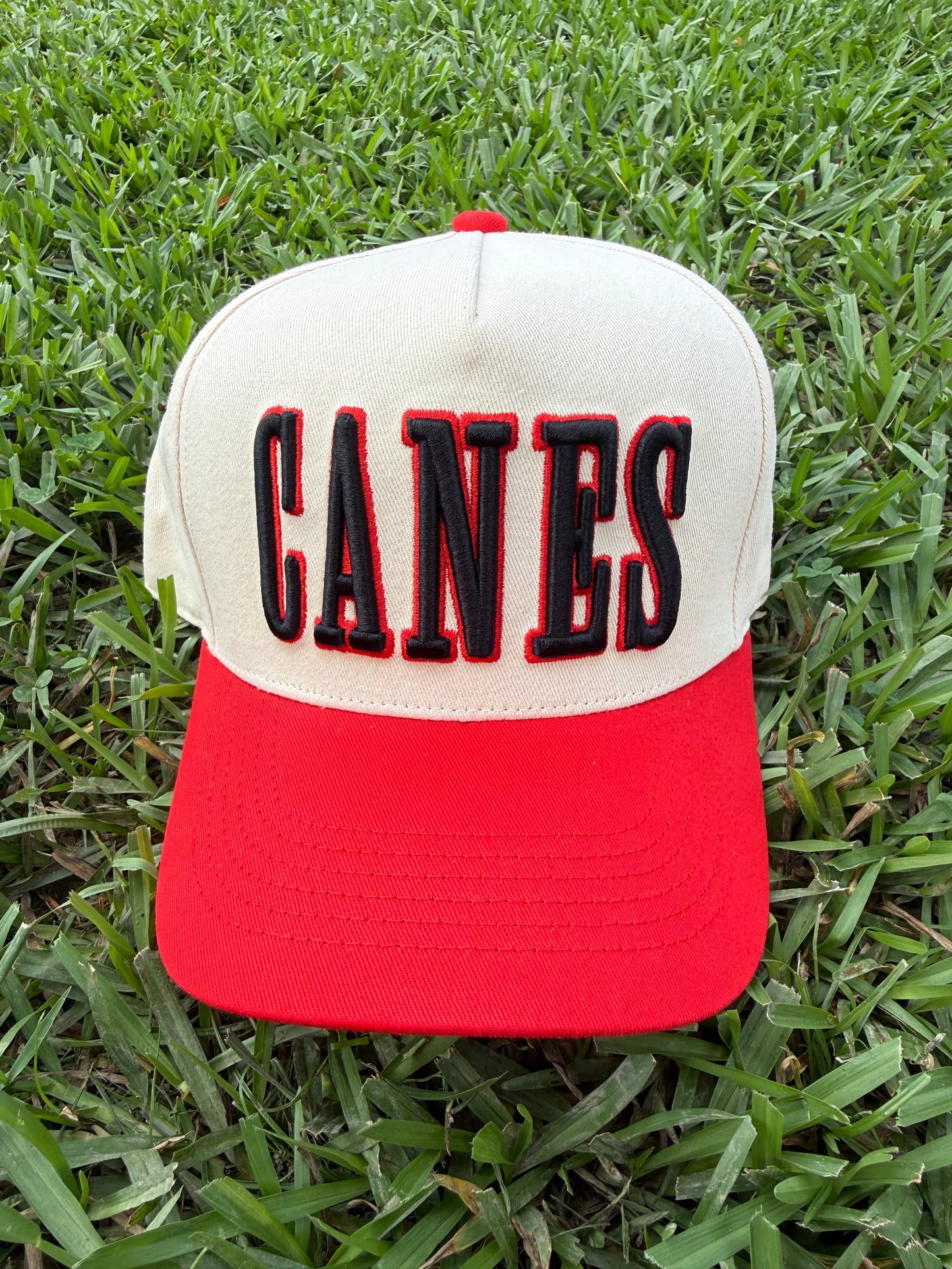 CANES